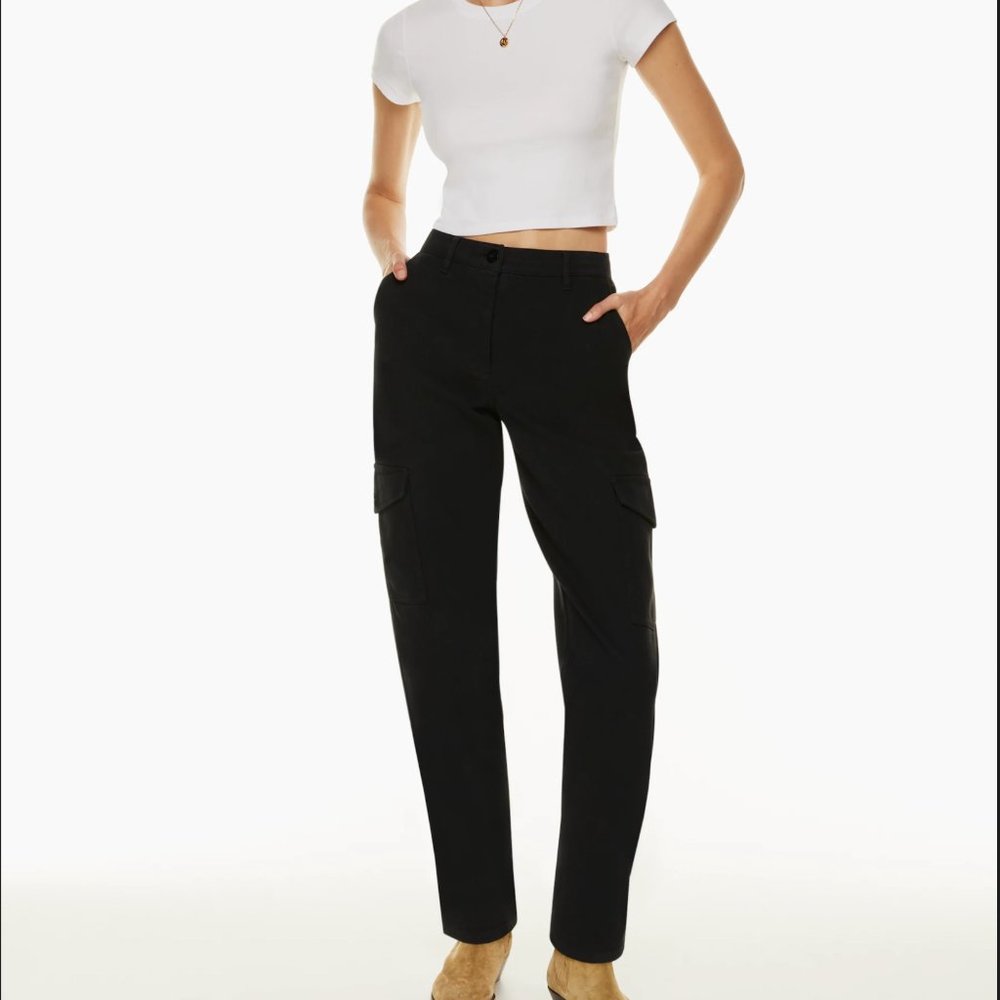 Aritzia Wilfred Free Modern Cargo Pant